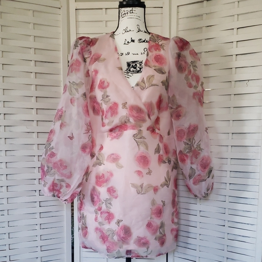 Storia Floral Pink Floral Dress with Sheer Sleeves Size M NEW